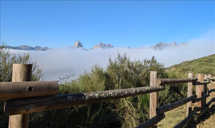 Behind the fence we see the grasses then the mist then the tips of the mountains