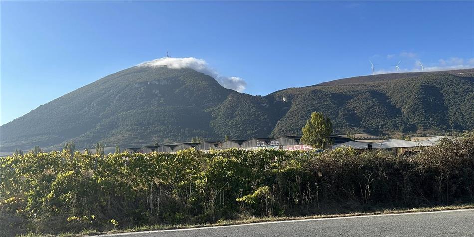 A tree covered hilltop with a thick whisp og cloud just starting to be blown away