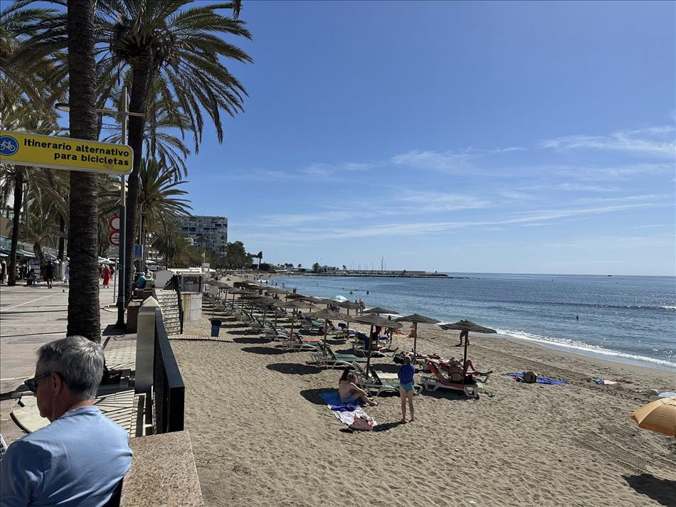 Sandy beach, palm trees, holiday makers, looks like a typical holiday brochure shot