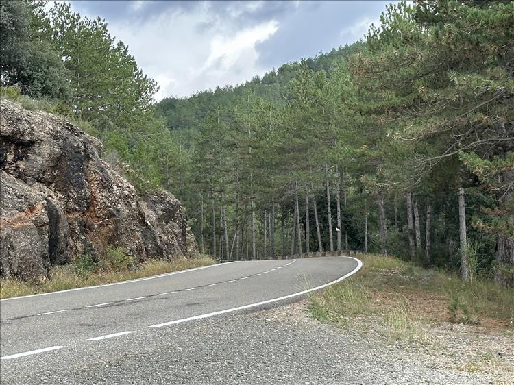 Trees, hillsides and the smooth curver tarmac of the quiet road