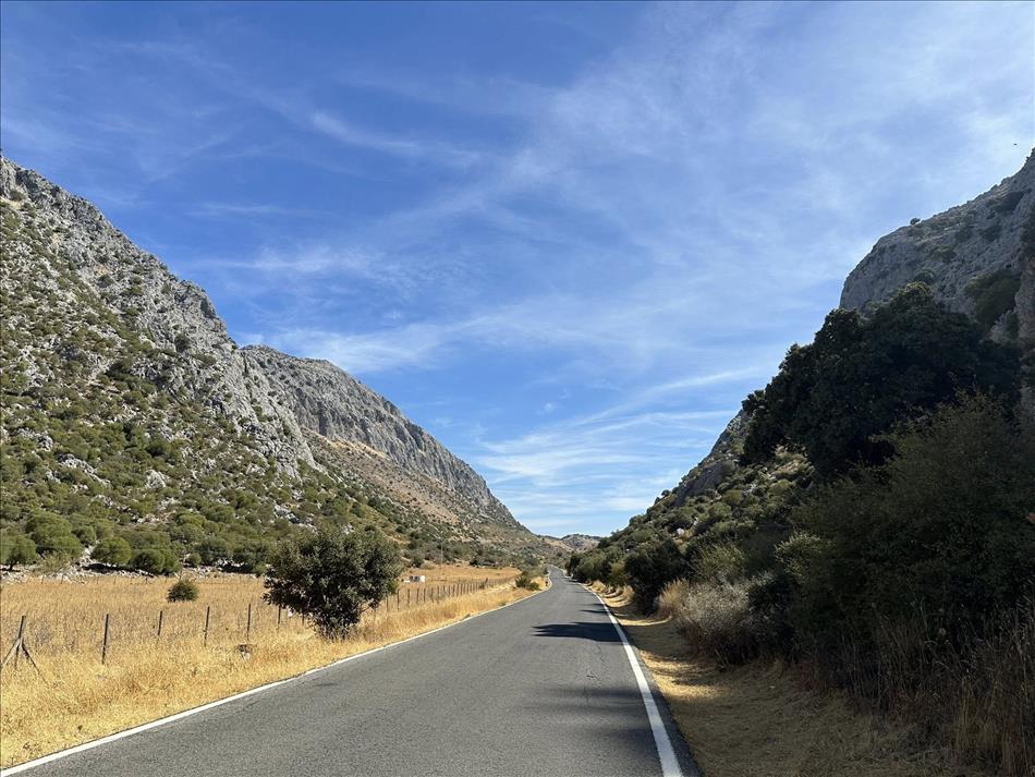 A narrow tarmac lane curves between steep rocky sides with a few trees and dry grass