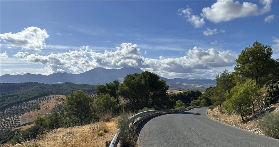 Fluffy clouds and blue skies, vast scene across hills, olive groves and a narrow smooth road snaking away