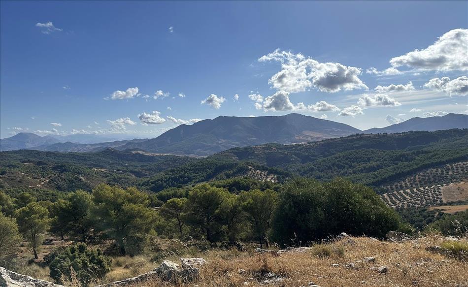 Mountains, trees and bushes, big scenery and jagged mountain tops in the distance