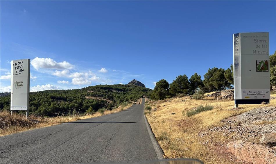 Blue skies, signle track road with good tarmac, dry grass but green bushy trees atop a hill