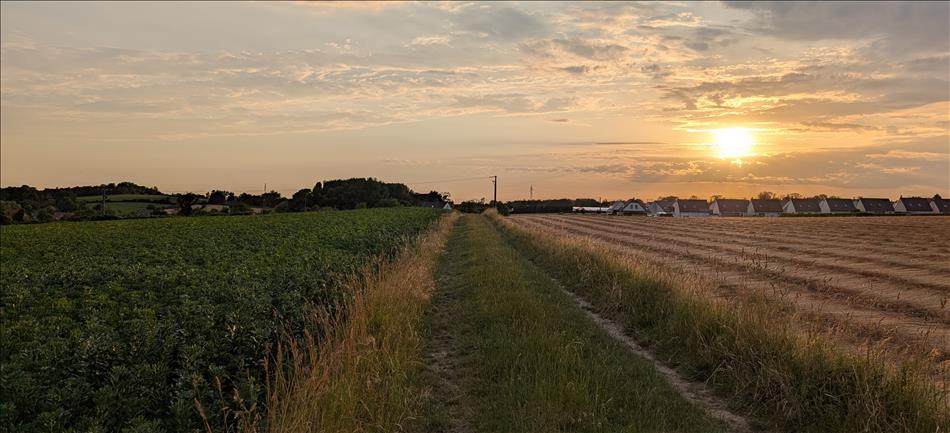 A sunset across fields, a farm track and some houses in the distant