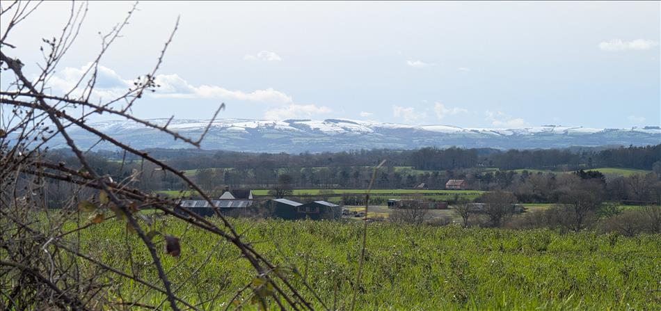 Across vast fields and woodland we can see snow capped hilltops in the distance