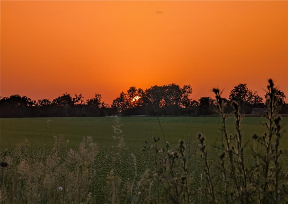 A glorious orange sunset between the trees, across a field on a warm evening in Normandy