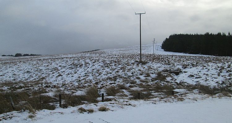 a scottish hillside covered in a thin layer of snow on a grey day