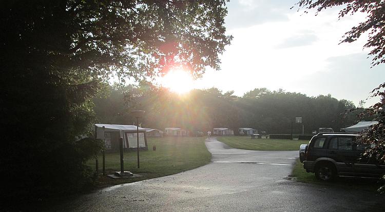 The sun sets between the trees at de pampel campsite