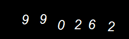 Real Person Number