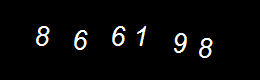 Real Person Number