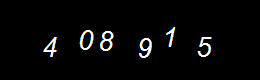 Real Person Number