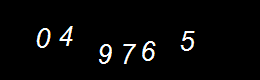 Real Person Number