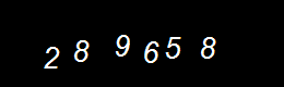 Real Person Number