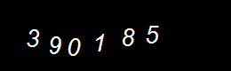 Real Person Number