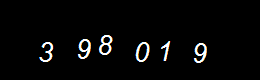 Real Person Number