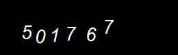 Real Person Number