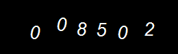 Real Person Number