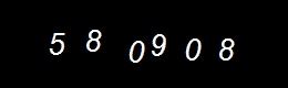 Real Person Number