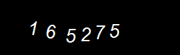 Real Person Number