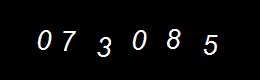 Real Person Number