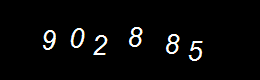Real Person Number