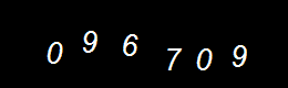 Real Person Number