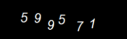 Real Person Number