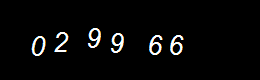 Real Person Number