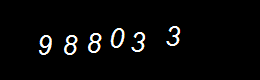 Real Person Number